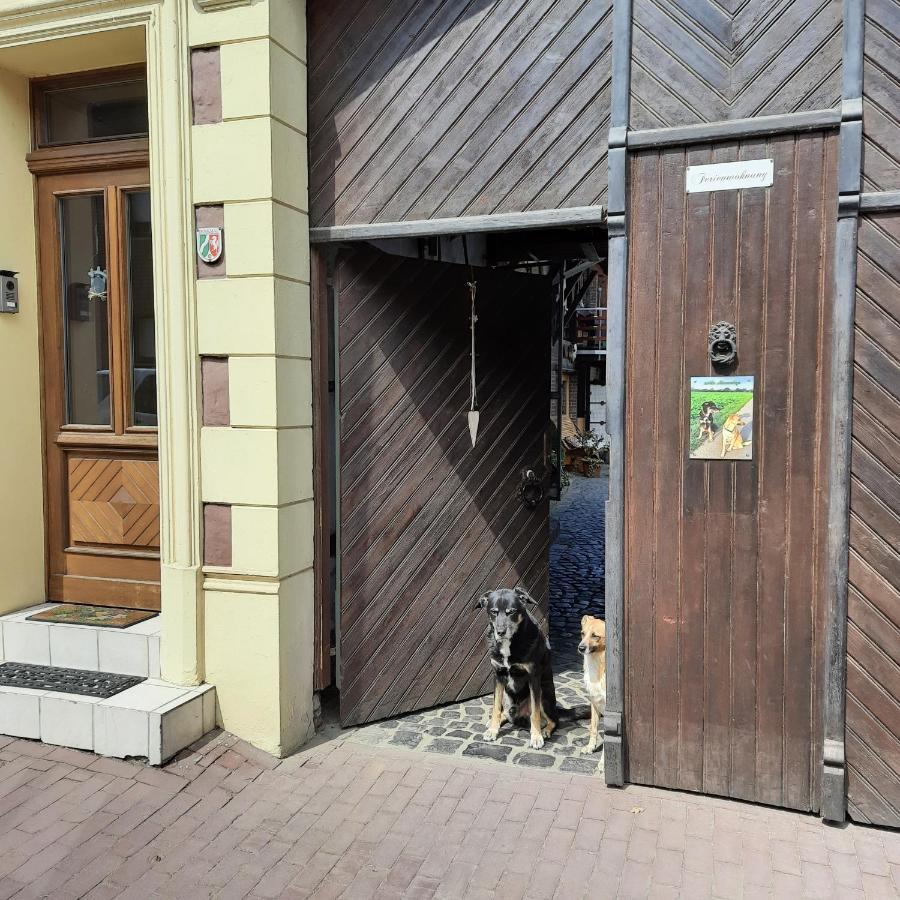 Ferienwohnung Hahnenblick Waldfeucht Dış mekan fotoğraf